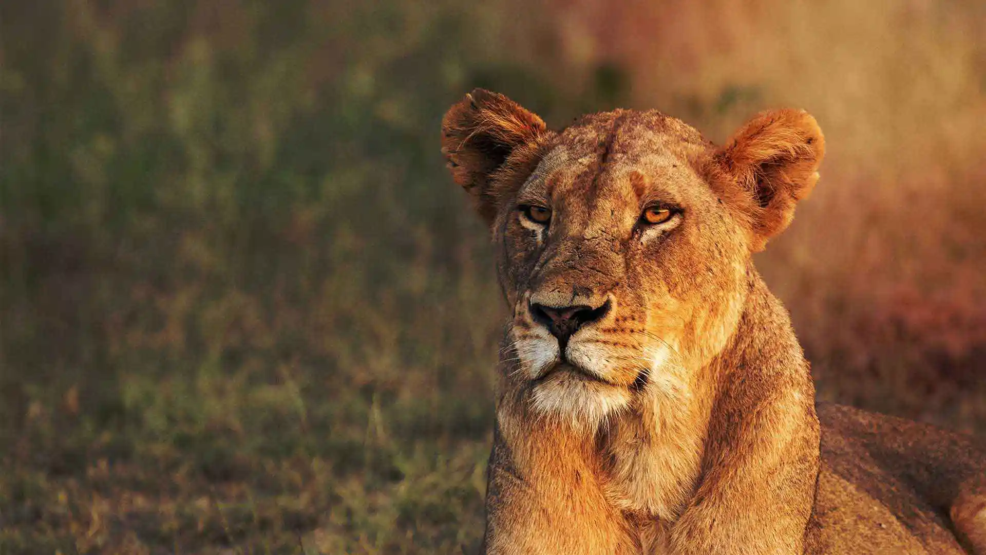 665f21d8aee7d4887d5c2a7e_Home-Slider-4